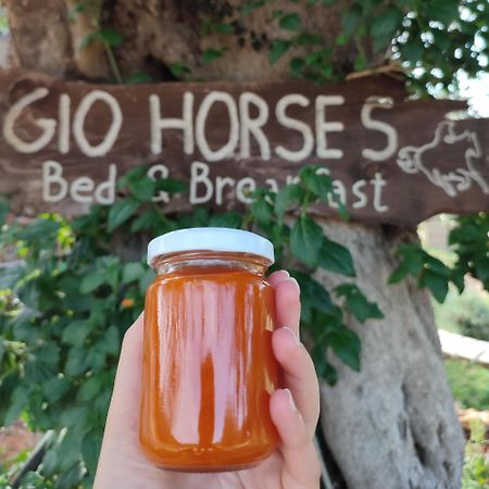 Gio Horses B&B San Nicandro Garganico Exteriér fotografie